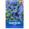 SEED FORGET ME NOT INDIGO