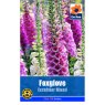 SEED FOXGLOVE EXCELSIOR MIX