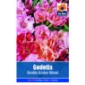 SEED GODETIA DOUBLE AZALEA