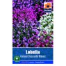 SEED LOBELIA COLOUR CASCAD