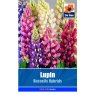 SEED LUPIN RUSSELLS HYBRID