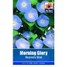 SEED MORNING GLORY HEAVENLY