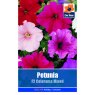 SEED PETUNIA F2 COLORAMA MIX