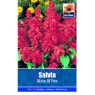 SEED SALVIA BLAZE OF FIRE