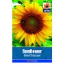 SEED SUNFLOWER DWARF SUNSPOT