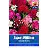 SEED SWEET WILLIAM SINGLE