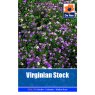 SEED VIRGINIAN STOCK