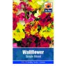 SEED WALLFLOWER MIXED