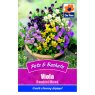 SEED VIOLA BAMBINI MIXED