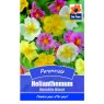 SEED HELIANTHEMUM MUTABILE