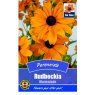 SEED RUDBECKIA MARMALADE