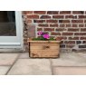 Charles Taylor  Charles Taylor Small Wooden Trough