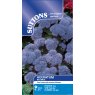 SEED AGERATUM BLUE MINK