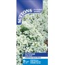 SEED ALYSSUM SNOW CARPET