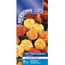 *SEED AFRO FRENCH MARIGOLD ZENITH