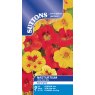 SEED NASTURTIUM LITTLE GEM MIX