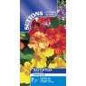 *SEED NASTURTIUM TROPICAL MIX