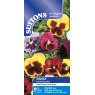 SEED PANSY GIANT FANCY MIX