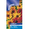 SEED RUDBECKIA RUSTIC DWARF MIX