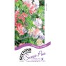 SEED SWEET PEA FRAGRANT TUMBLER