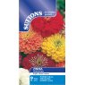 SEED ZINNIA FIREWORKS MIX