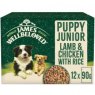 JWB PUPPY POUCH 12X90G LAMB/CHICKEN