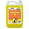 SCREENWASH 5L SUMMER RTU