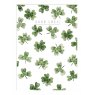 CARD FOUR LEAF CLOVERS DJ