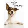 CARD I EAR ITS YOUR BIRTHDAY PICTURE THIS