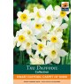 DAFFODIL DWARF CARPET OF SNOW BULB