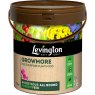 LEVINGTO Levington Growmore Plant Food