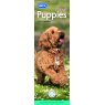 CALENDAR SLIM RSPCA PUPPIES