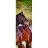 CALENDAR SLIM HORSES