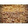 NEWBRIDGE STRAW BEDDING BALE