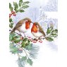 XMAS CARD TWO ROBINS N8