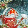 XMAS CARD ROBINS ON WATERING CAN Q8