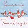 XMAS CARD SEASONS TWEETINGS S6