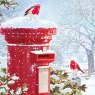 XMAS CARD ROBIN ON POSTBOX S6