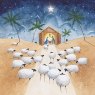 XMAS CARD SHEEP NATIVITY SCENE S6