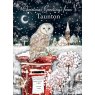 XMAS CARD OWL ON POSTBOX TN2