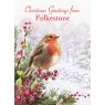 XMAS CARD ROBIN TN5