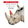 CARD ALL RHINO PICTURE THIS