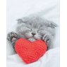 CARD KITTEN & HEART CUSHION