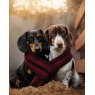 CARD DOGS & SCARF