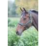 Shires Equestrian Shires Topaz Nylon Headcollar Dark Green