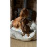 DOG BED FARMYARD CREAM 107CM