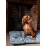 Snug & Cosy Snug & Cosy Farmyard Dog Lounger Blue