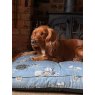 Snug & Cosy Snug & Cosy Farmyard Dog Lounger Blue