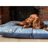 Snug & Cosy Snug & Cosy Farmyard Dog Lounger Blue