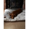 Snug & Cosy Snug & Cosy Moorland Stag Dog Lounger